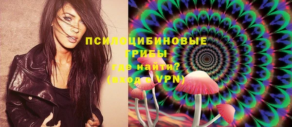 гидра Волоколамск